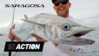 Shimano Saragosa SWA topwater action with Reel Destinations [upl. by Figge]