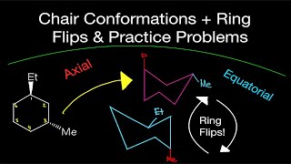 Organic Chemistry Chair Conformations amp Ring Flips w Practice Problems Axial and Equatorial [upl. by Bartie]