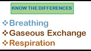 Respiratory System  Breathing Gaseous Exchange and Respiration [upl. by Adriane]