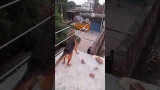 germanshepherd and Protect 10 dog  ytshorts trending dog viralvideoviralshortsloveloyal [upl. by Eelesor881]