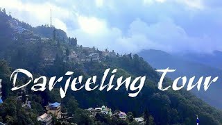 Darjeeling Tour  Darjeeling hills  Tea Garden  darjeelingtour darjeelingdiaries teagarden [upl. by Derian445]