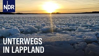 Frostige Winterabenteuer im schwedischen Lappland  Ostseereport  NDR Doku [upl. by Eilasor775]