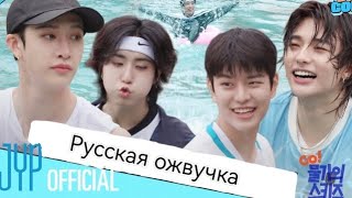 Stray Kidsстрей кидс русская озвучка [upl. by Elicia58]