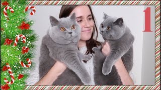 2 SCHATTEN VAN KATTEN 🎄  VLOGMAS 1  2018 [upl. by Blount]