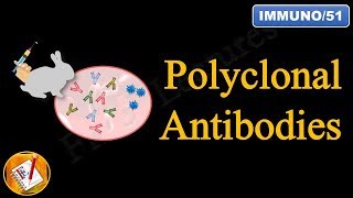 Polyclonal Antibodies FLImmuno51 [upl. by Obmar773]