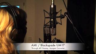 Tube Mic Comparison AMI UM17 vs Beez Neez Arabella [upl. by Ajna]