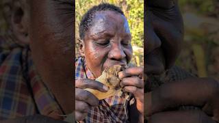 Thats breakfast😋 Roots Food Chief hadzabe eating their foodbushmen africa [upl. by Nonnad]