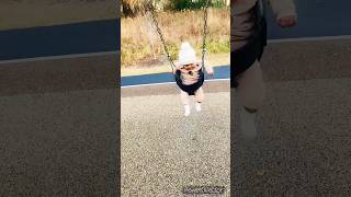 Cute baby in a swingviralvideo cutebaby shorts [upl. by Leahcimrej]