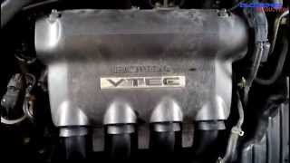 Honda L15A Engine View [upl. by Peirce]