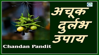 अचूक उपाए 100  Effective By Chandan Pandit Astrologer for CP Astro Science ® [upl. by Ahtelra]