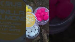 Corus Artificial baits  Short [upl. by Ila7]