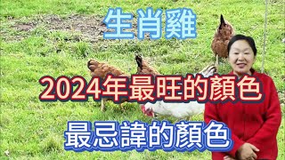 生肖雞！2024【龍年】最旺的顏色是什麼？屬雞人在2024年最忌諱什麼顏色呢？用對顏色！2024一整年都有好運勢！讓自己錢財大旺！順順利利！生肖 顏色 運勢 [upl. by Proffitt]