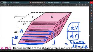 Physical pharmacyRheology viscosity and fluidity [upl. by Macey953]