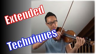 Contemporary Violin Techniques  Guide for Composers 22 [upl. by Elle]