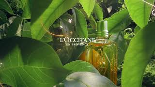 Holiday 2020  LOccitane [upl. by Germaine]