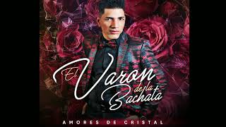 El Varón de la Bachata  Te Esperaba Álbum Amores de Cristal 2023 [upl. by Florio]