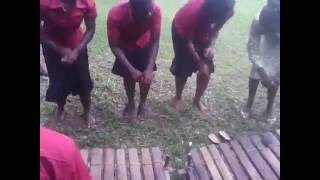 Un pas de dance du balafon chez les sénoufo de Korhogo CI [upl. by Ellehcir]