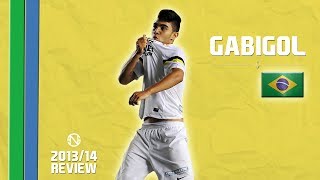 GABRIEL GABIGOL BARBOSA  Goals Skills Assists  Santos  20132014 HD [upl. by Kirk]