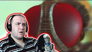 Producer Reacts Eega Movie Trailer Suresh Productions  Kiccha Sudeep [upl. by Yvehc]