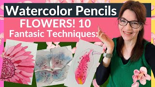 Watercolor Pencils FLOWERS 10 Fantastic Techniques [upl. by Nirb]