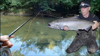 Floating Skein  Early  Michigan King Salmon [upl. by Biel]