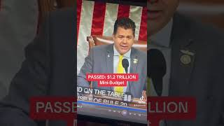 HOUSE SENDS MASSIVE MINIBudget to Senate news congress [upl. by Orazio817]