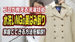 プロが教える洗濯技術 水洗いNGの黄ばみ取り 家庭でできる方法を解説！ [upl. by Harold558]