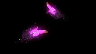 Pink Neon Butterfly Black Screen Animation l Butterfly Over Layer l Flying Butterfly Effect [upl. by Ecertak]