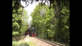 Harzquerbahn ganz klassisch Eisfelder Talmühle Drei Annen Hohne [upl. by Akiam]