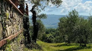 Chianti Italy Tuscan day [upl. by Zeus403]