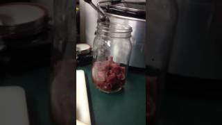 Canning deer meat Raw pack method [upl. by Ollehto]