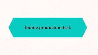 Indole Biochemical Test  IMViC Biochemical Test [upl. by Analihp]