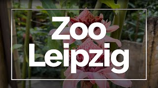 Zoo Leipzig Germany [upl. by Bollay]