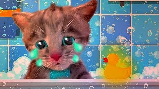 Petit chat  Dessins animés en Français Épisode 1 Vidéos pour enfants [upl. by Ranip254]