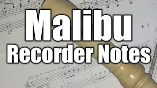 MalibuRecorder Notes  Miley Cyrus [upl. by Marcelo]