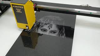 Stone Engraving Machine Robotics [upl. by Daza251]