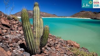 Baja California Sur  A journey through Mexicos quotDesert Paradisequot [upl. by Gare348]