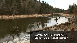 TransCanada — Coastal GasLink Pipeline — Stoney Creek Rehabilitation [upl. by Coney858]