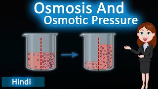 Osmosis and Osmotic Pressure  3D Animated Explanation  class 12th chemistry  Solutions [upl. by Noramac]