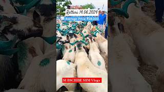 Retteri Market 2024  14062024 BAKRID 2024  2024 goat sheep animals india shorts reels [upl. by Xenos]