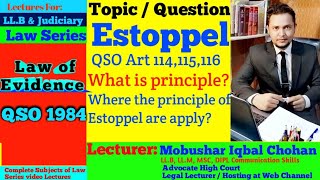 Estoppel  law of evidence  QSO lectures  llb lectures in urdu hindi judicial exam [upl. by Annayram]