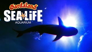 DENTRO SEA LIFE  INSIDE SEA LIFE  2017  Gardaland  Italia SEALIFE [upl. by Adnaluy]