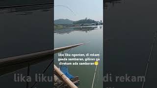 MANCING TAWES SIRIP MERAHLALAWAK DI WADUK CIRATA [upl. by Nyleahcim]