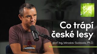 PODCAST MONETA Zeleně  Co trápí české lesy [upl. by Kamillah]