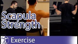 Scapula Strengthening Exercises  Early Shoulder Rehab [upl. by Anilec]