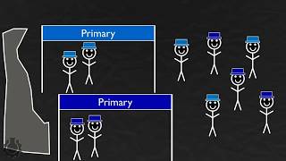 Primary Elections Explained [upl. by Adnara]