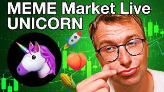 Unicorn Chain Meme Market [upl. by Arratoon583]