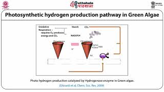 Microbial Biohydrogen production [upl. by Vergil]