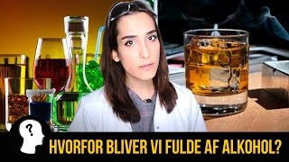 HVORFOR BLIVER VI FULDE AF ALKOHOL [upl. by Chelsey57]