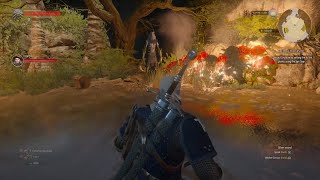 The Witcher 3 Grottore Death March Boss Fight PS4 Pro [upl. by Garek]